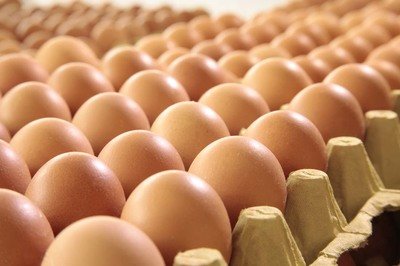 忻州鸡蛋检测价格,鸡蛋检测机构,鸡蛋检测项目,鸡蛋常规检测